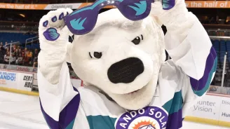 Solar Bear Mascot 