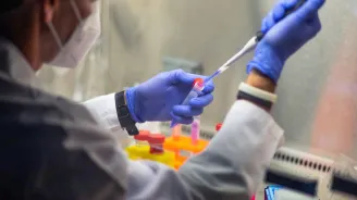 a researcher working with samples