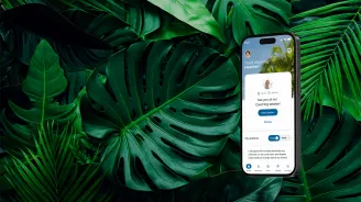 A group of palm leaves with a smartphone that has the AdventHealth WholeYou app on screen.