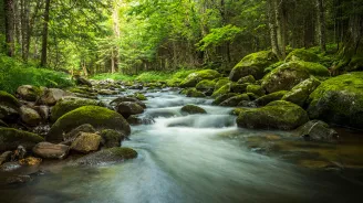 a river