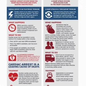 heart infographic