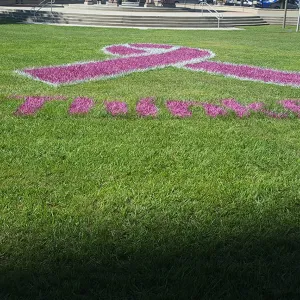 Breast Cancer Pink Ribbon design sprayed on a lawn.