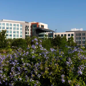 A bed of flowers in front of the AdventHealth Apopka hospital