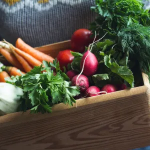 Woman holding a basket of fresh vegetables