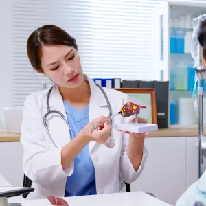 Doctor holding medical model talking to patient