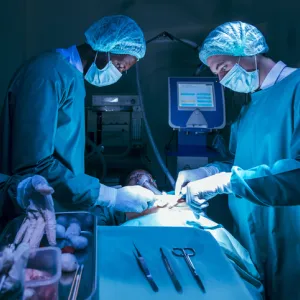 organ transplant procedure