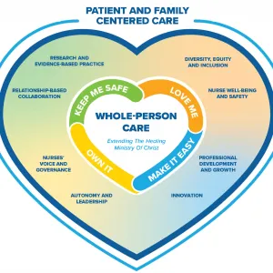 professional practice model heart