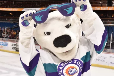 Solar Bear Mascot 