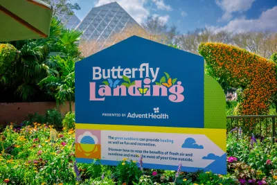 EPCOT Flower and Garden Festival Butterfly Landing