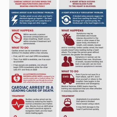 heart infographic