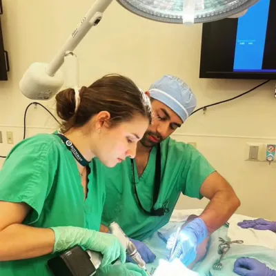 two physicians performing a procedure