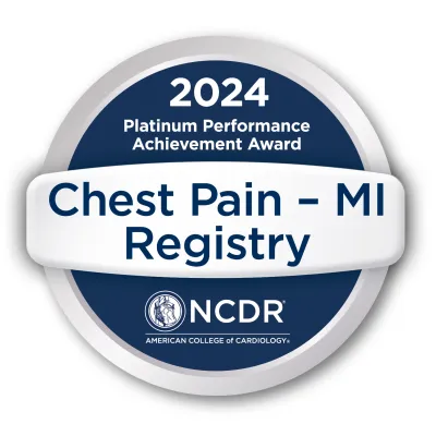 2024 Platinum Performance Achievement Award logo