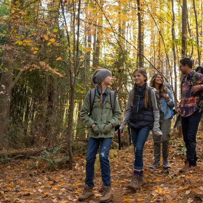 Family of four hiking in the forest
