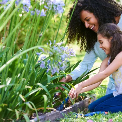 A Mother and Daughter Planting Flowers in the Garden on a Bright Sunny Summer Day