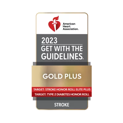 Get with the Guidelines 2023 Gold Plus Award for Stroke emblem