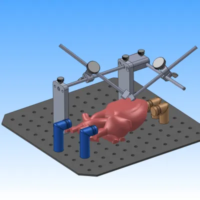 Graphic of the MAVID Heart Holder