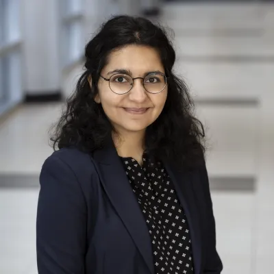 Desai-Nina