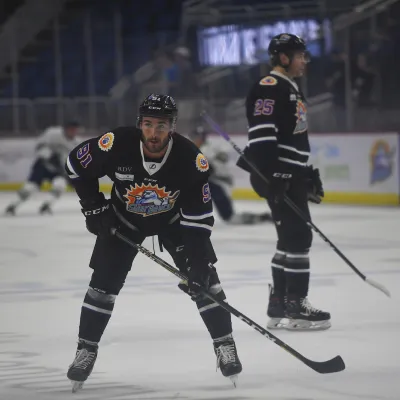 Solar Bear Player.