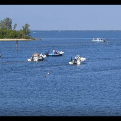 AdventHealth West Florida Foundation Fishing Tournament