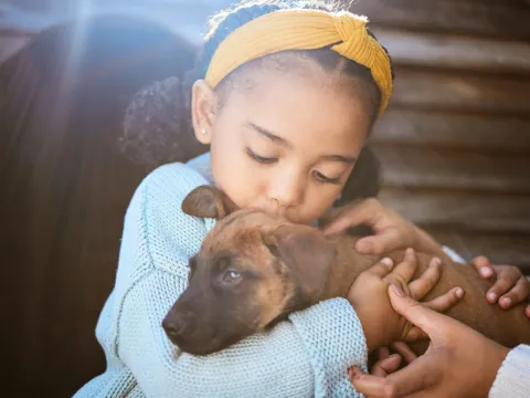 A Little Girl Kisses a Puppy on the Top of His Head