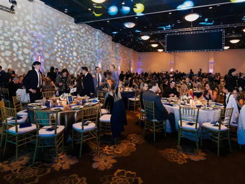 a photo from Golden Gala 41