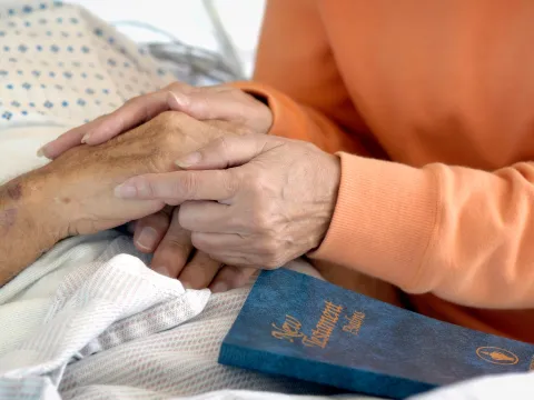 Comforting Hands