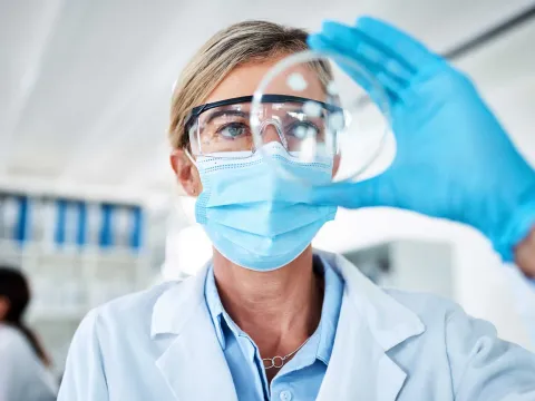 A medical researcher examining a medical petri dish