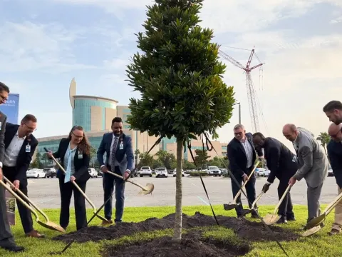 A group of people with shovels planting a tree.