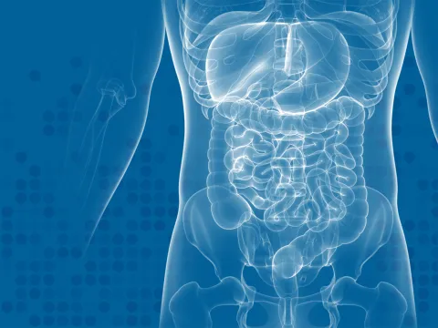 Graphic of a x-ray of an abdomen.