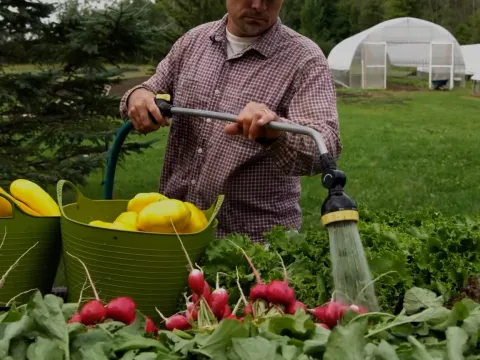 Farmer Washing Produce
