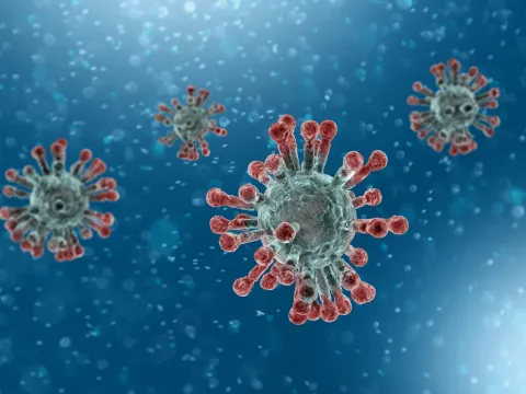 Microscopic view of the coronavirus