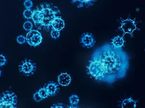 Close Up Image of the Corona Virus