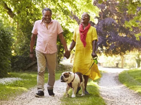 A Couple Walks Their Dog Through the Park