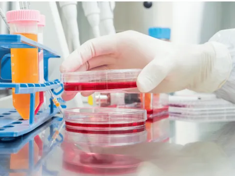 Lab with petri dish