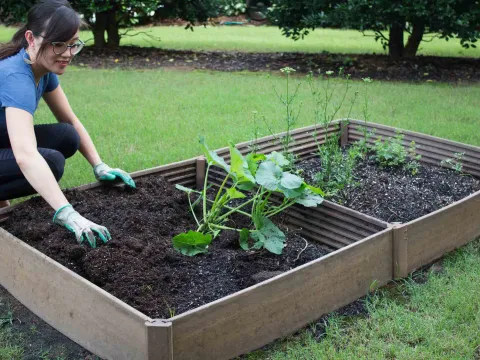 Woman working in garden