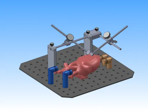 Graphic of the MAVID Heart Holder