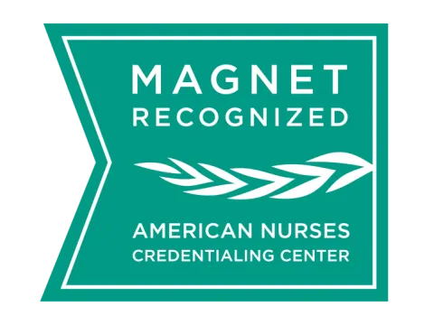 Magnet Recognition