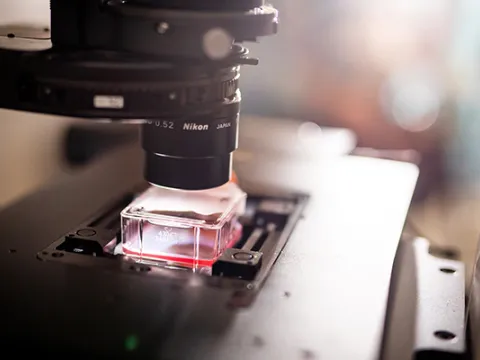 Microscope