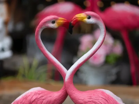 Yard flamingos figurines craning their necks to make a heart.