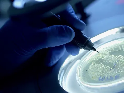 AdventHealth - Stay Well Ahead: Advanced Research
