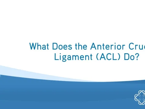 What Does the ACL Do? | Q&A with Dr. Sean Keyes | BEAR Implant | Miach Orthopaedics
