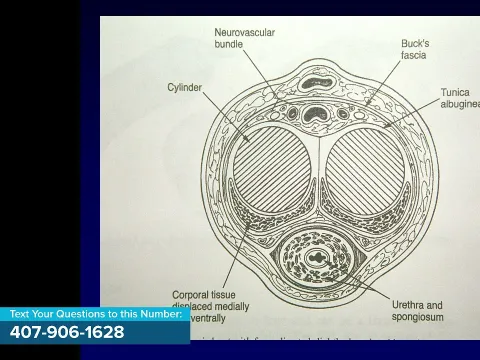 Urologic Abnormalities and Treatment Options for Complex Urologic Conditions