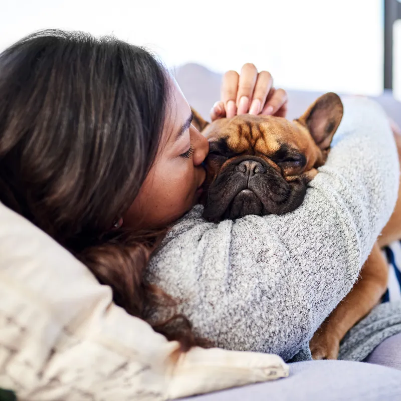 Woman laying on a couch hugging and kissing her fawn colored french bulldog