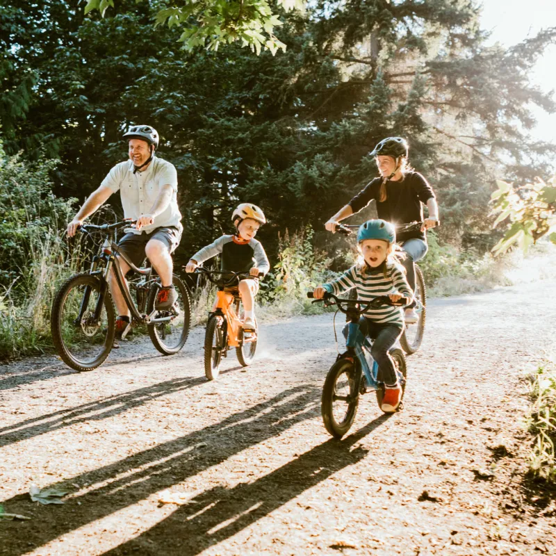 A Family Goes for a Bicycle Ride Through a Park on a Sunny Morning