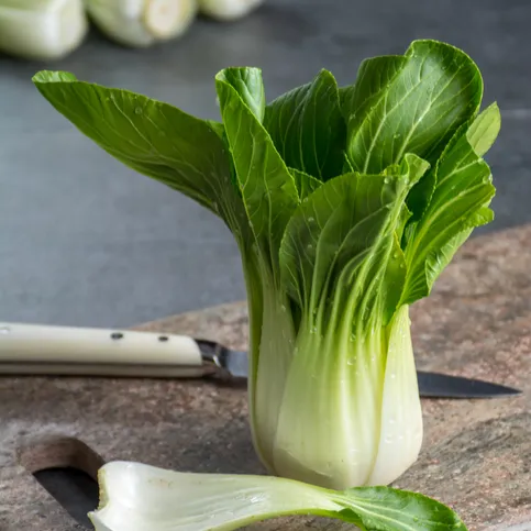 Garlicky Asian Bok Choy