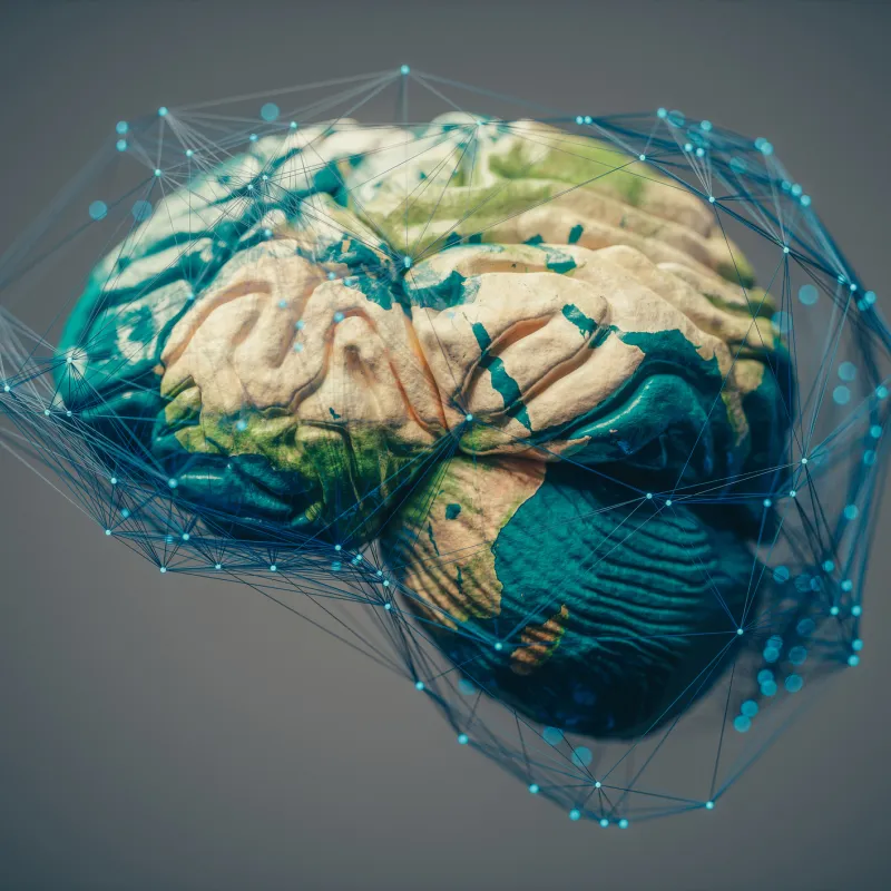 Graphic of a brain with the earth overlaid on the surface.