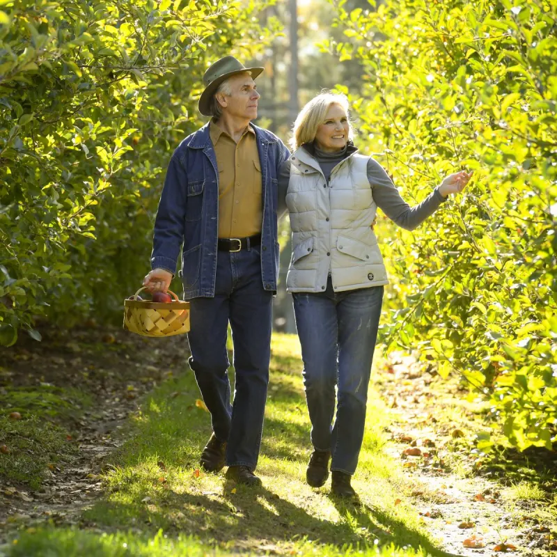 Elderly couple walking through an apple orchard.