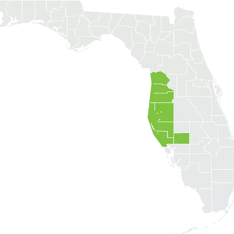  A Map of the Greater Tampa Area