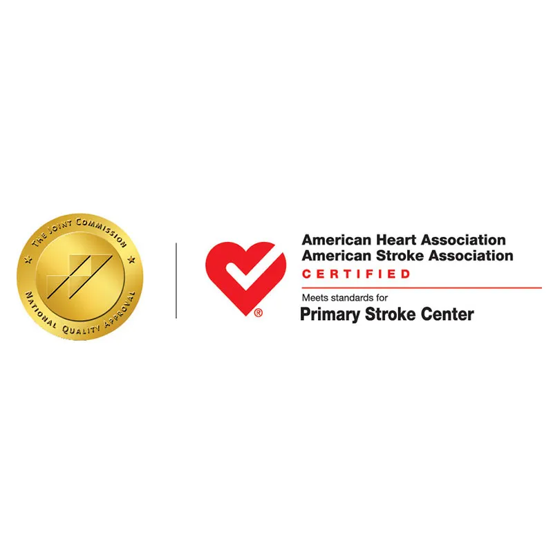 Primary Stroke Center Designation logo.