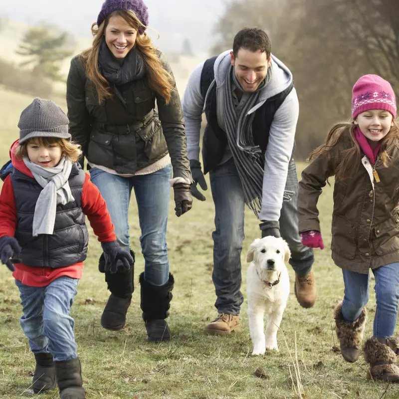 A family goes on a hike together.